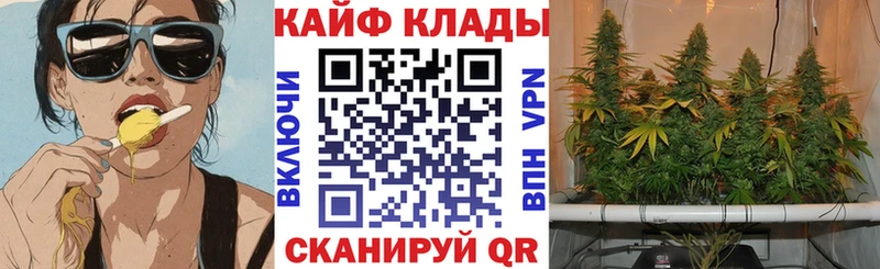 Где найти наркотики Ртищево СК  Псилоцибиновые грибы  АМФ  Конопля  Мефедрон  Кокаин 