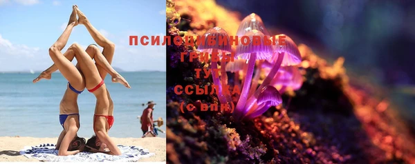 дурь Россошь