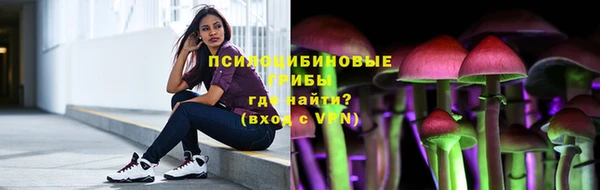 дурь Россошь