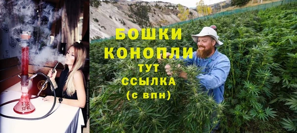 ГАЛЛЮЦИНОГЕННЫЕ ГРИБЫ Ростов