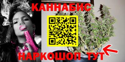 гидра Пенза