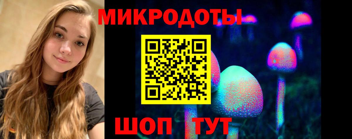 Ртищево  Псилоцибиновые грибы мухоморы  Вход с VPN 