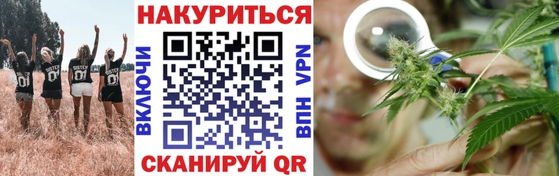 Канабис план  даркнет сайт  OMG маркетплейс  Ртищево 